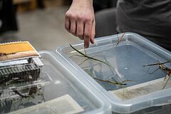 exotic-fest-29-53684377640-o.jpg