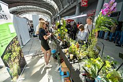 exotic-fest-65-53683050352-o.jpg