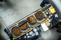 exotic-fest-83-53683144212-o.jpg